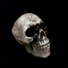Skull Ornament