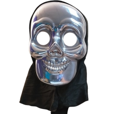 Silver Skull Mask