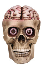 Skull with Lightup Brain & Eyeballs 15cm