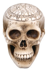 Skull with Carvings 14cm