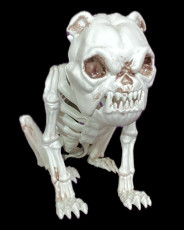 25cm Dog Skeleton