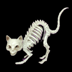 17cm Cat Skeleton
