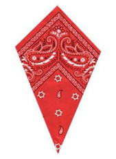 Red Bandana