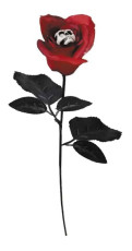 Flower Rose with Skull 43cm